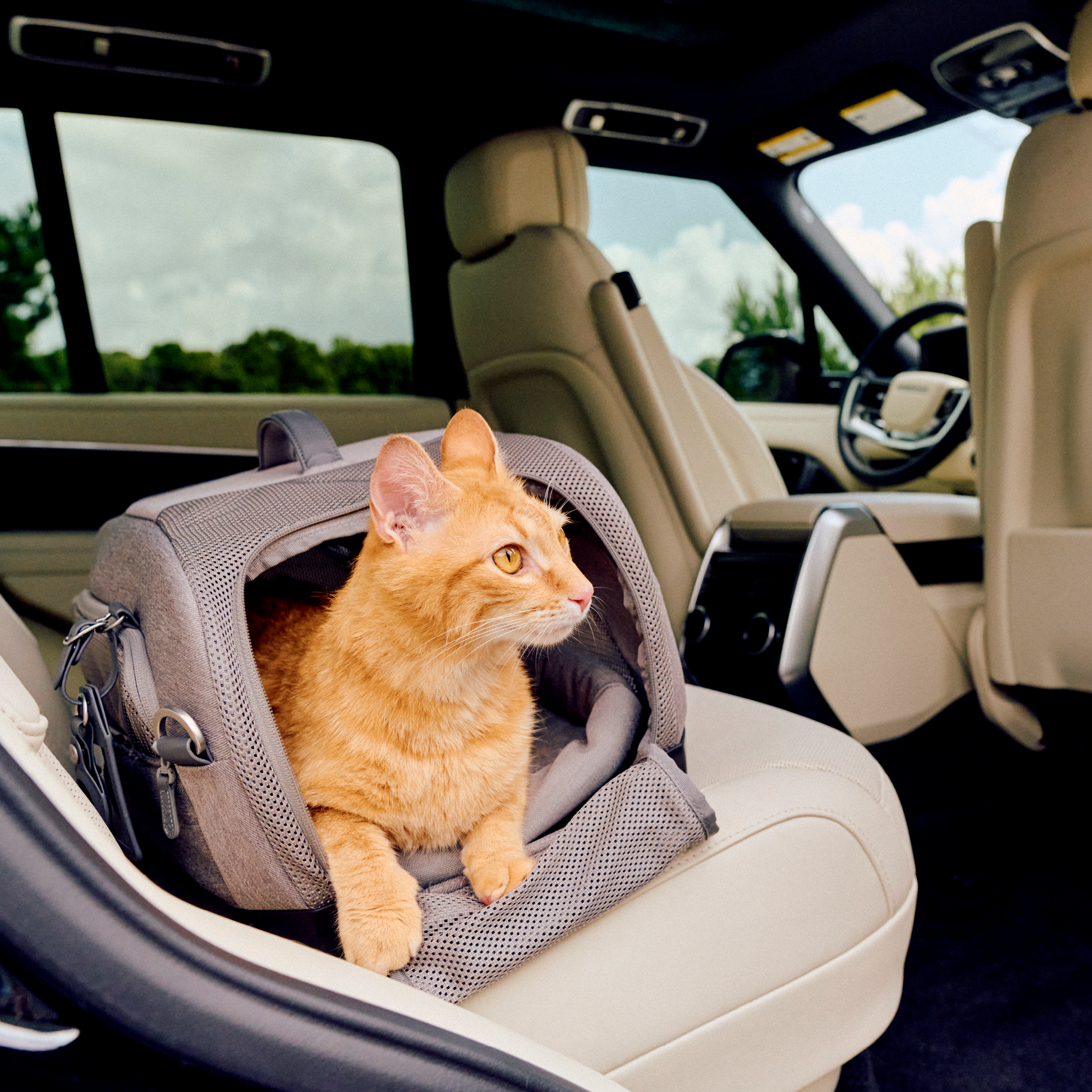 Dupree II Travel System