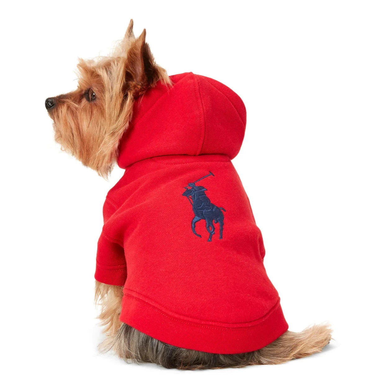 Ralph Lauren Heritage Pony Hoodie