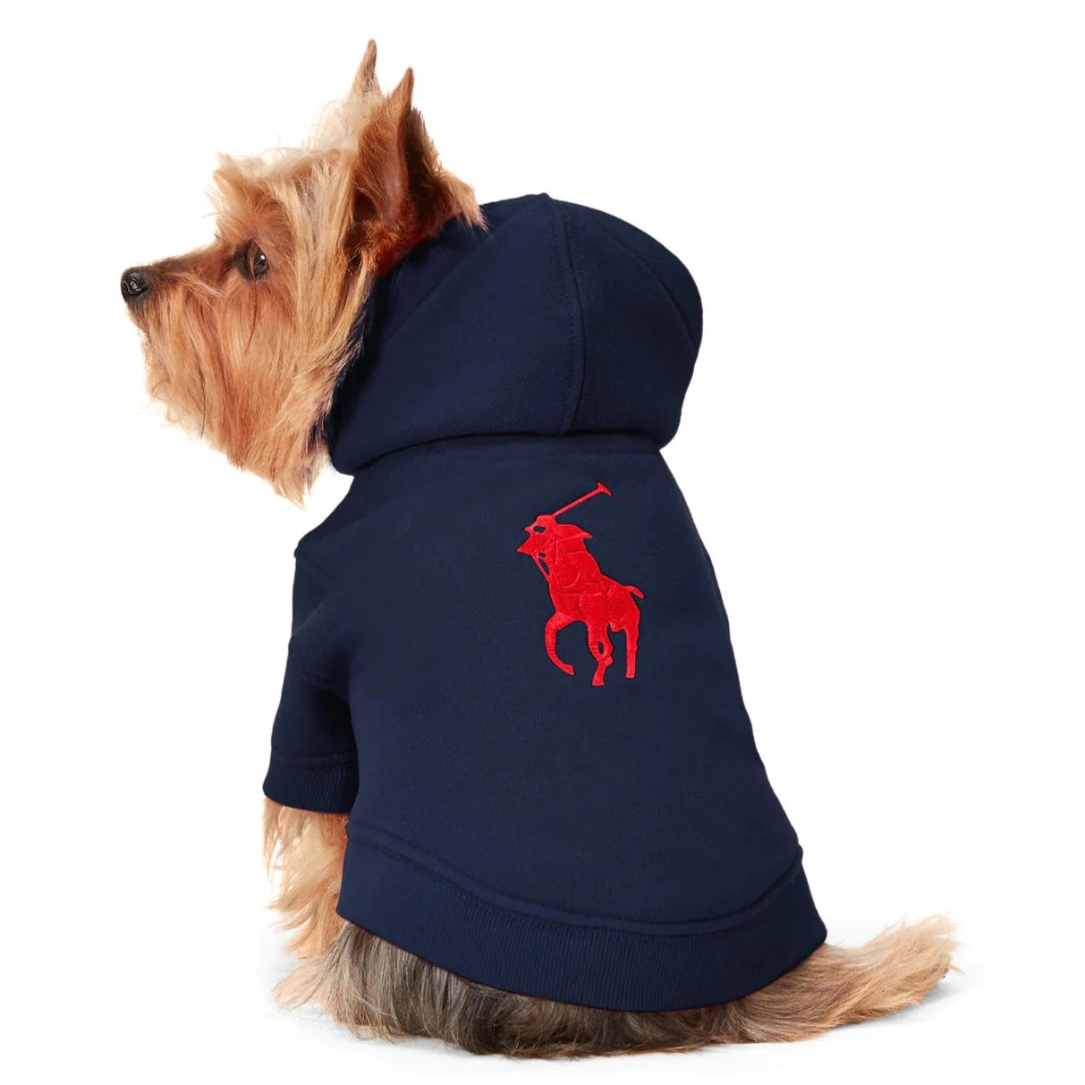 Ralph Lauren Heritage Pony Hoodie