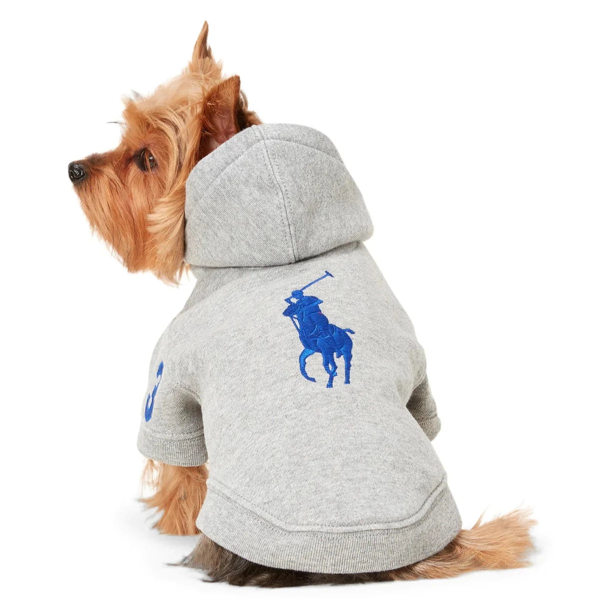 Ralph Lauren Heritage Pony Hoodie