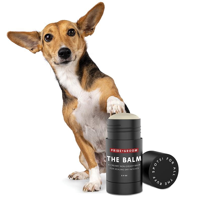 The Balm