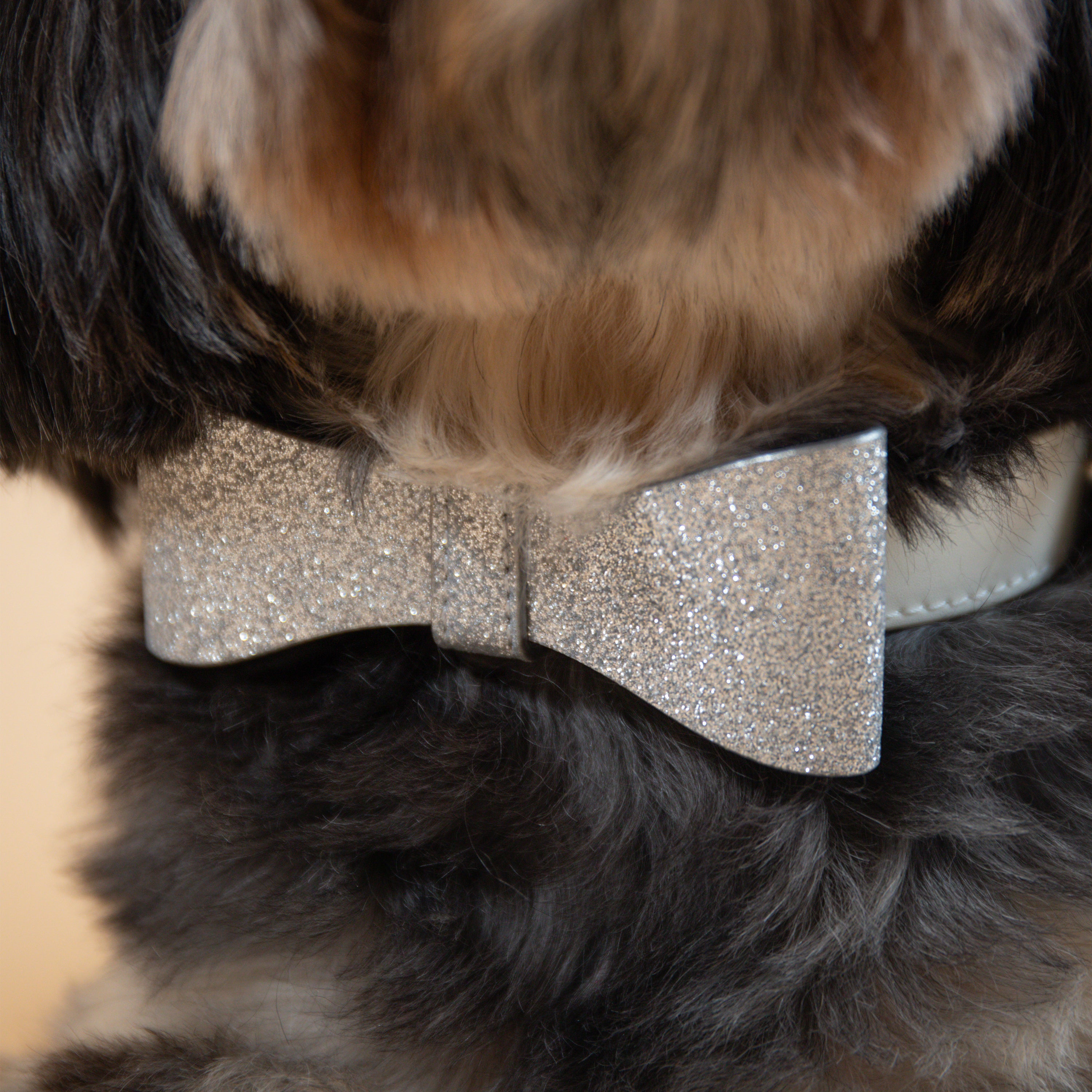 Glistening Glimmer Collar