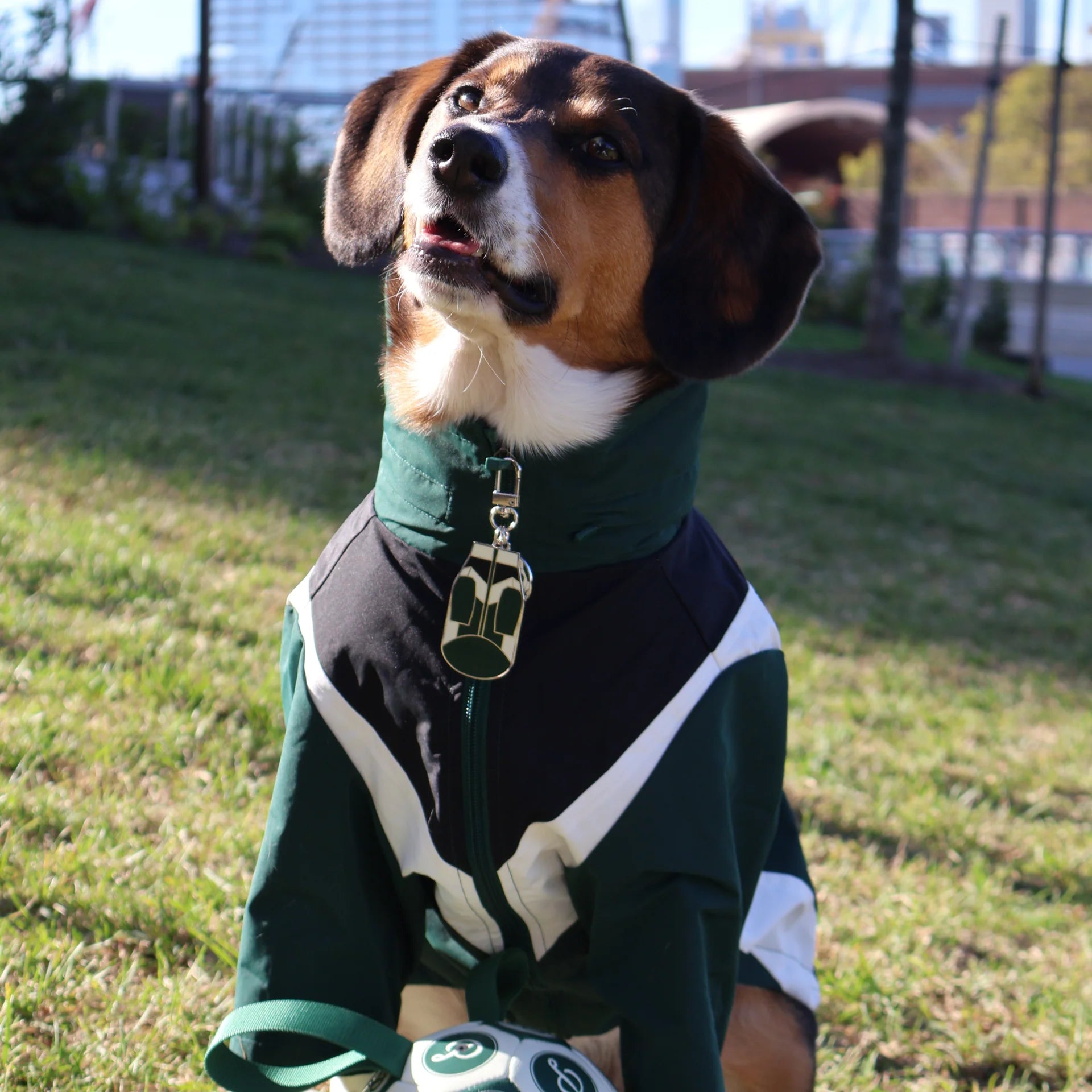 Domino Windbreaker