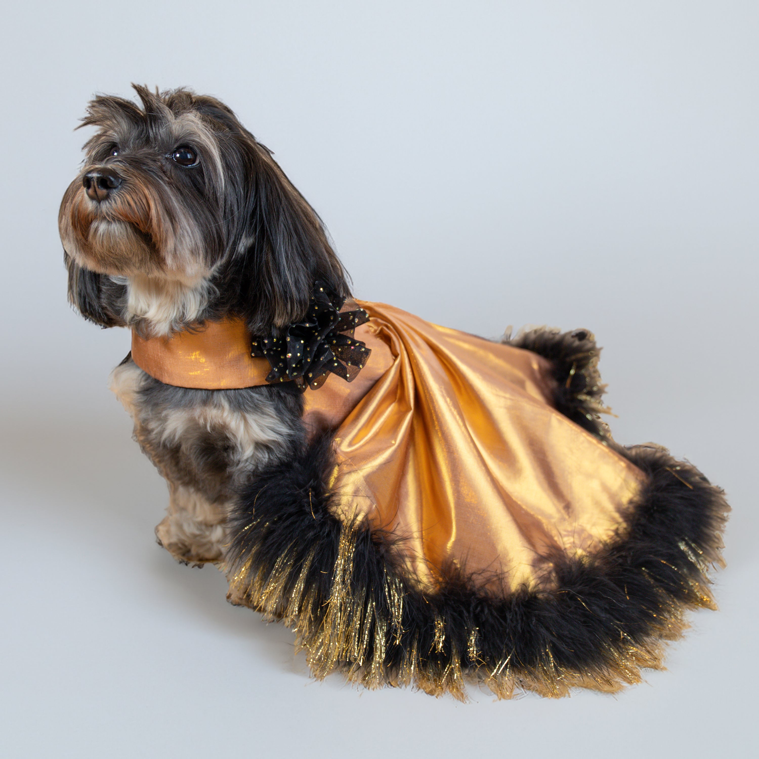 Dreambound Reversible Gown