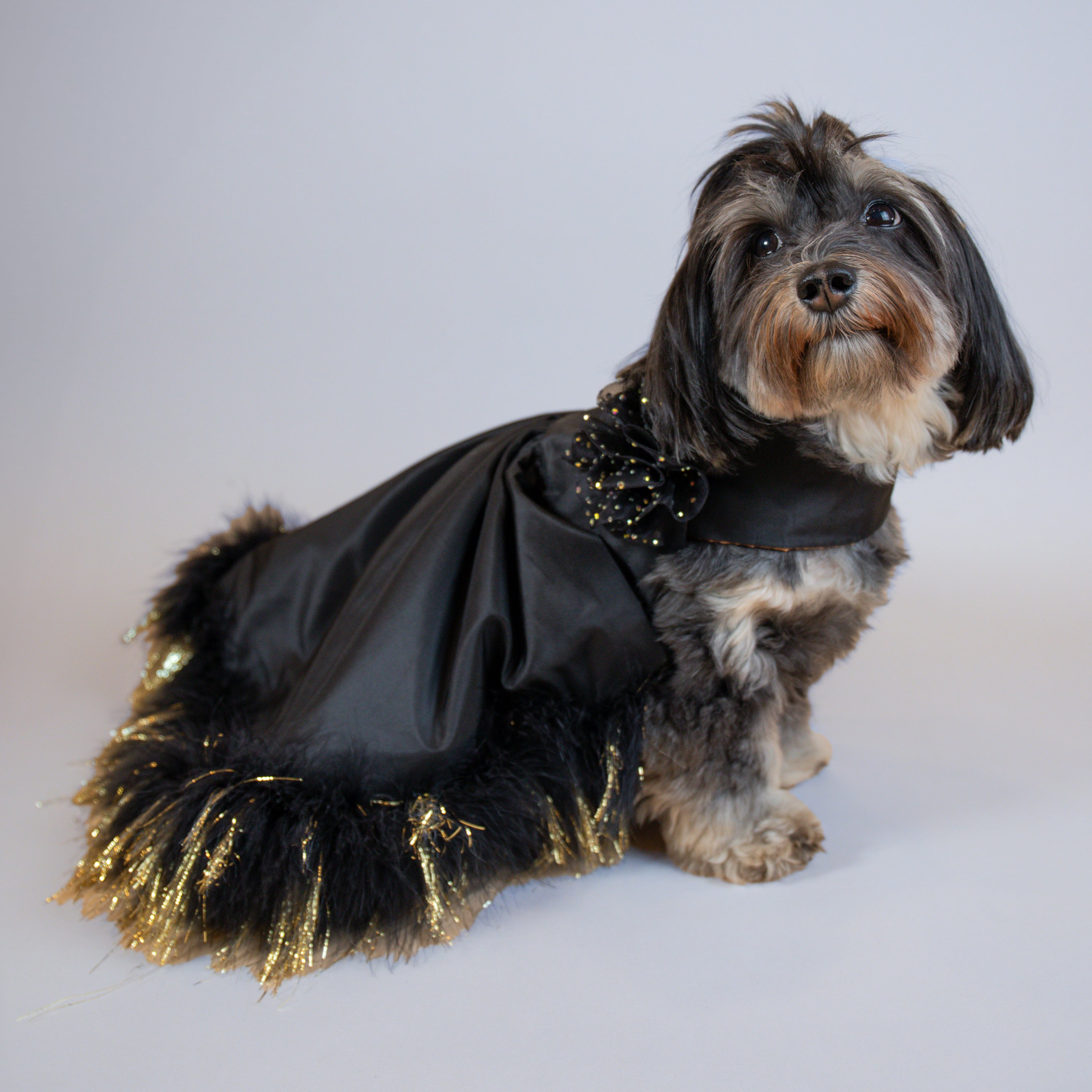 Dreambound Reversible Gown