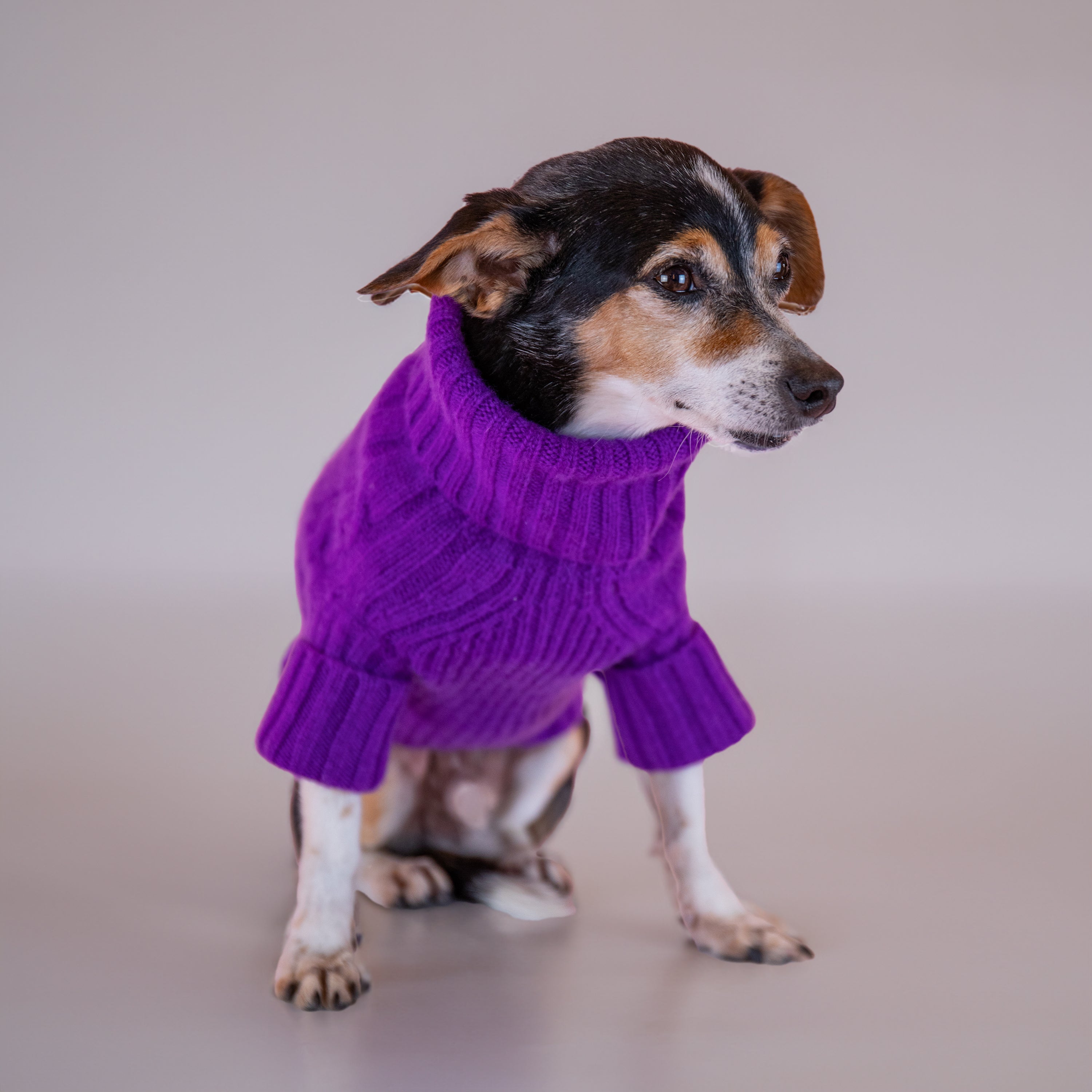 Ralph Lauren Cable Cashmere Sweater