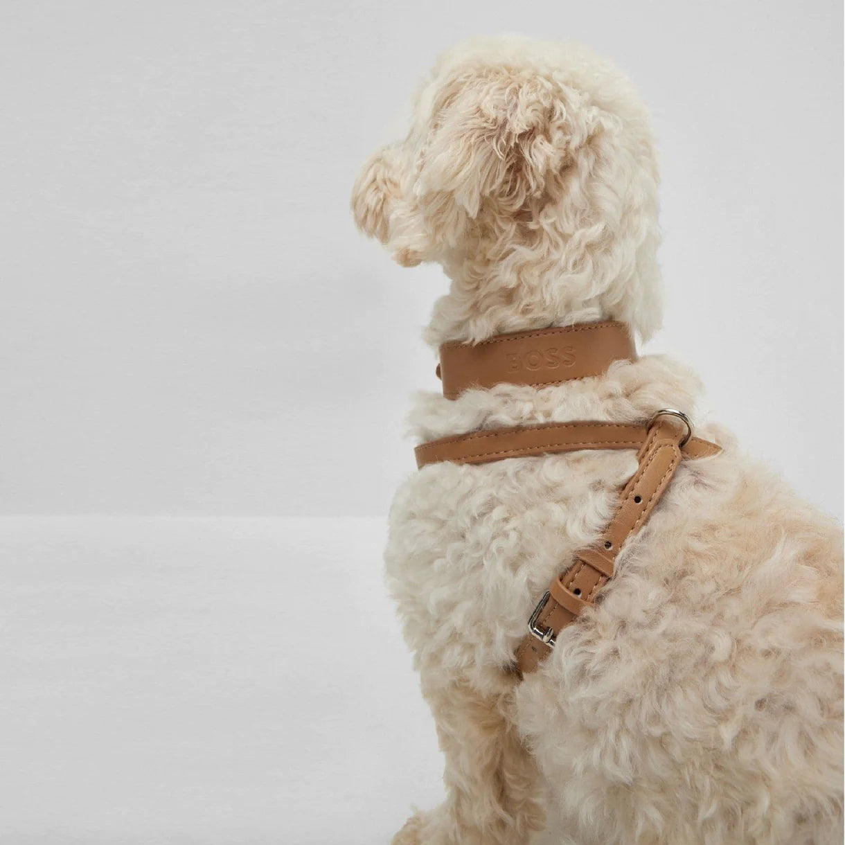 BOSS Recycled Leather Collar