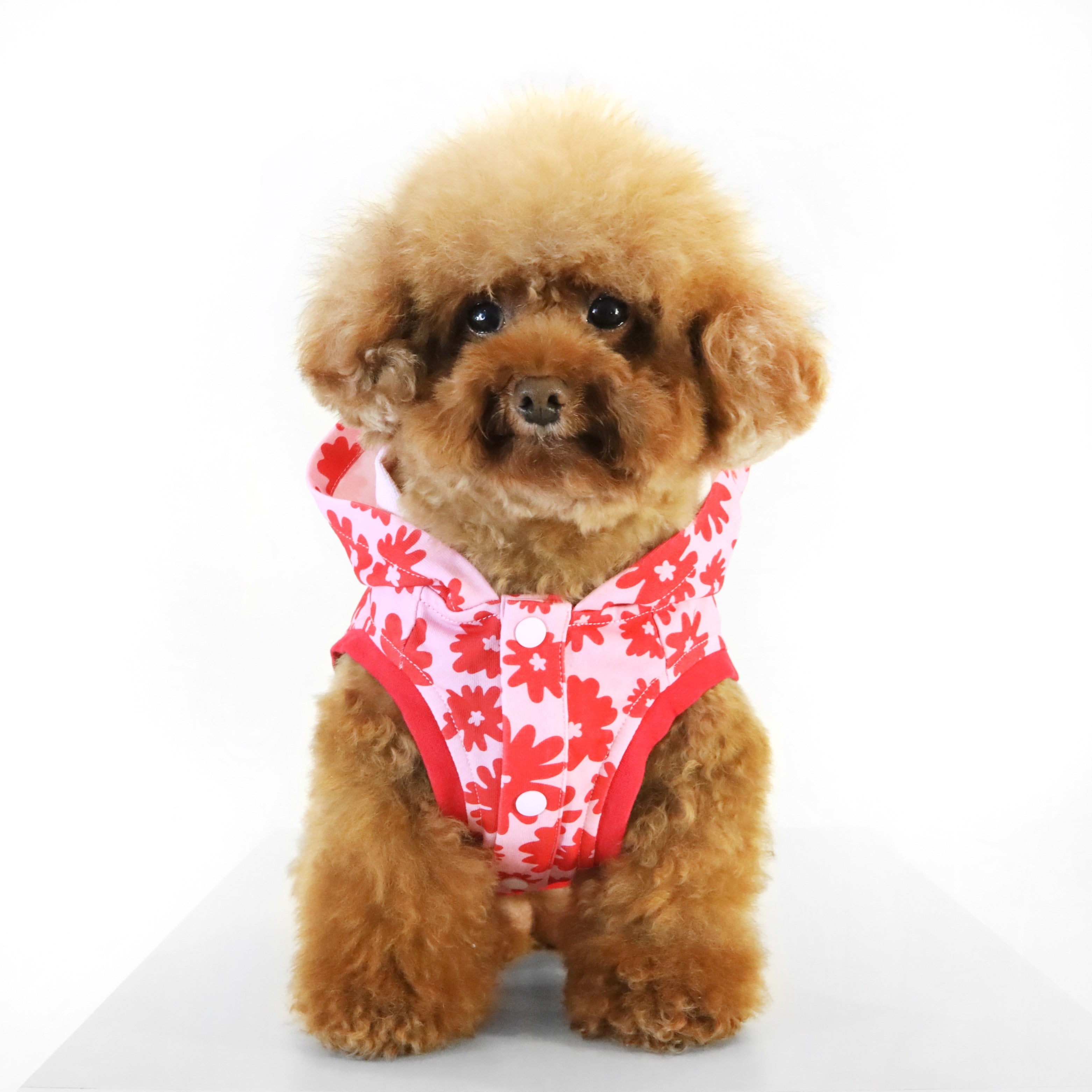 Florence Button-up Hoodie