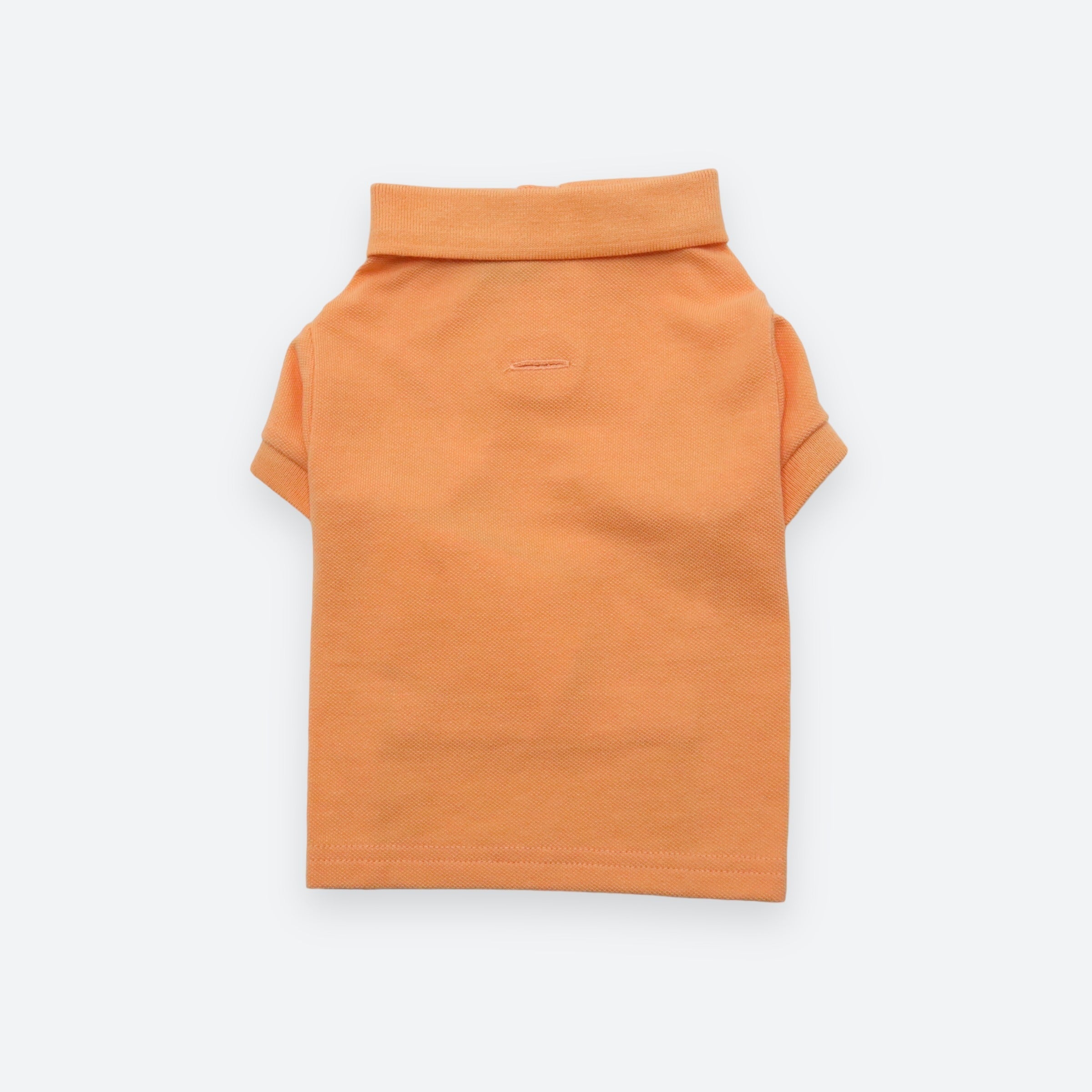 Ralph Lauren Pastel Polo