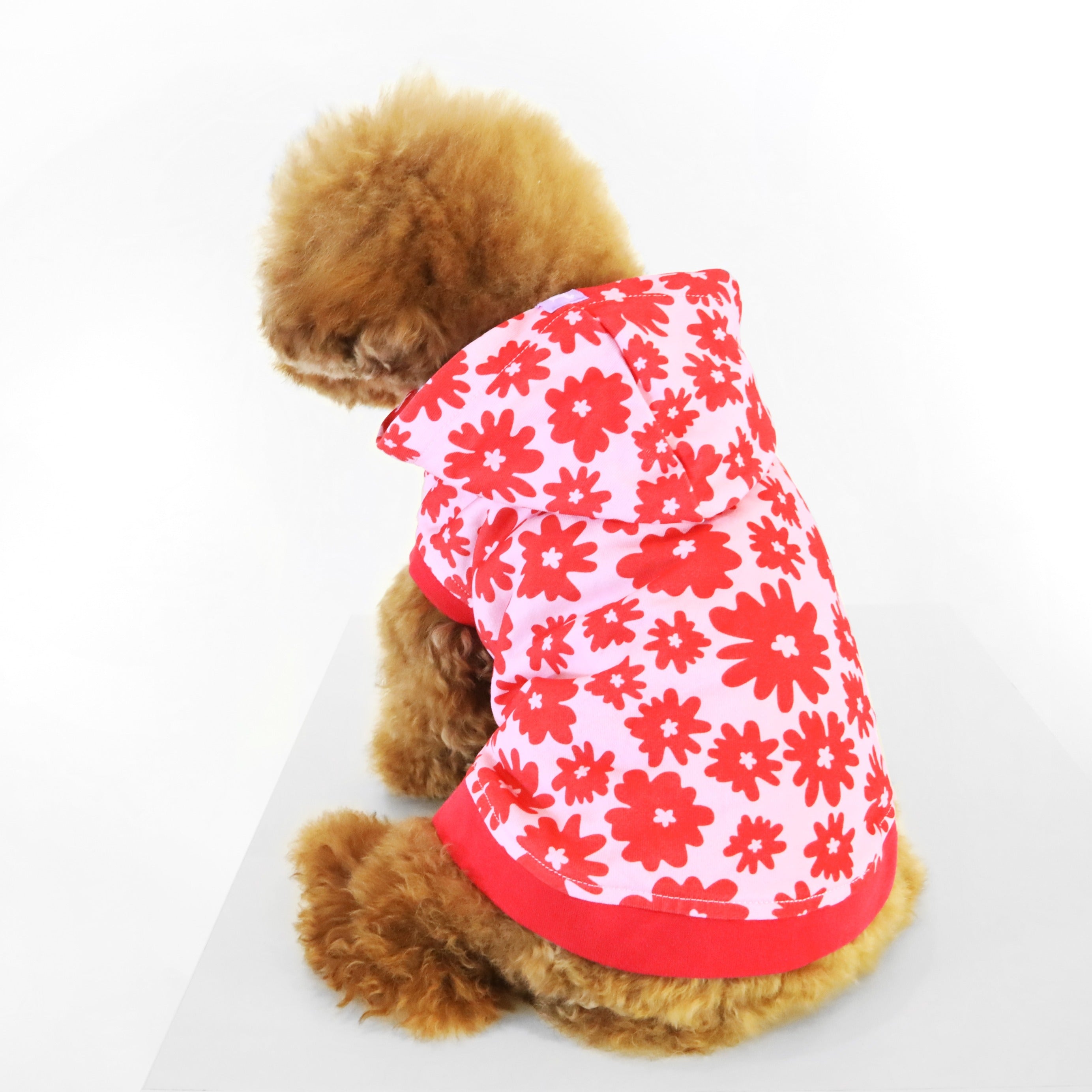 Florence Button-up Hoodie