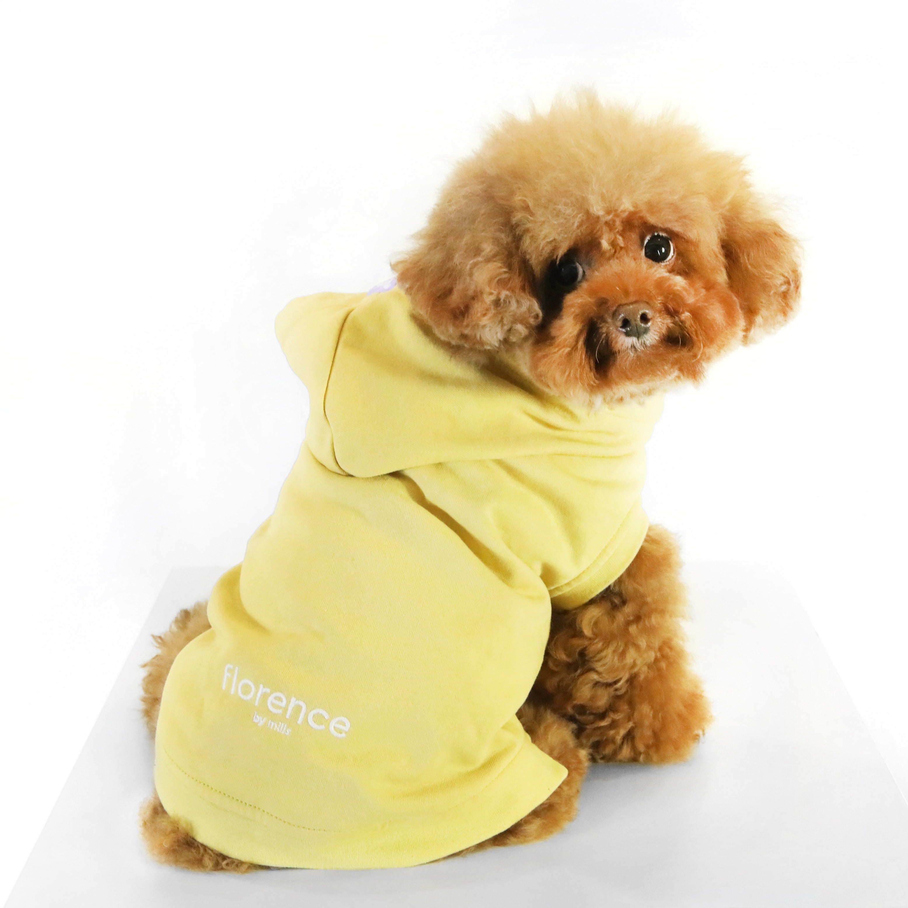 Florence Button-up Hoodie