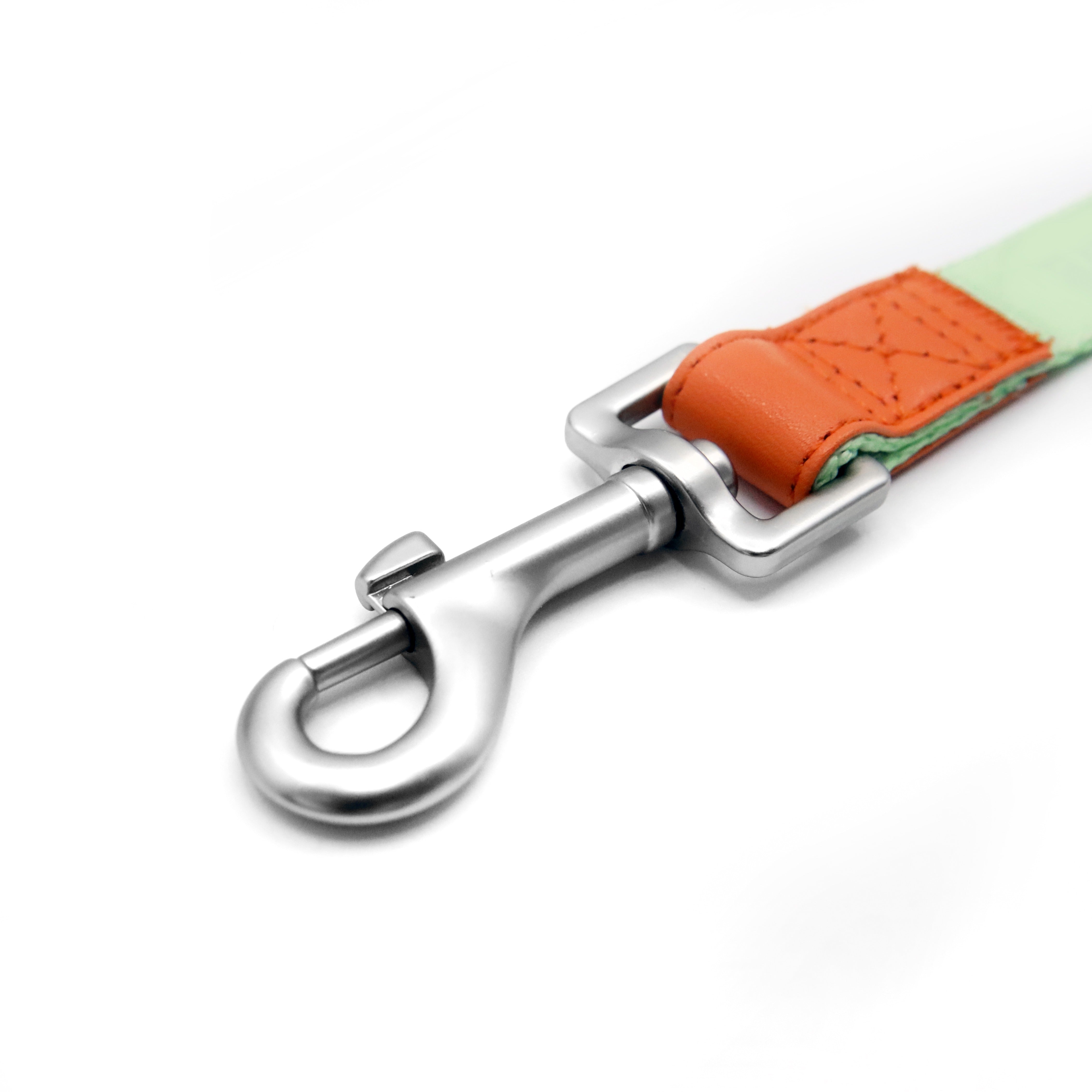 Florence Leash