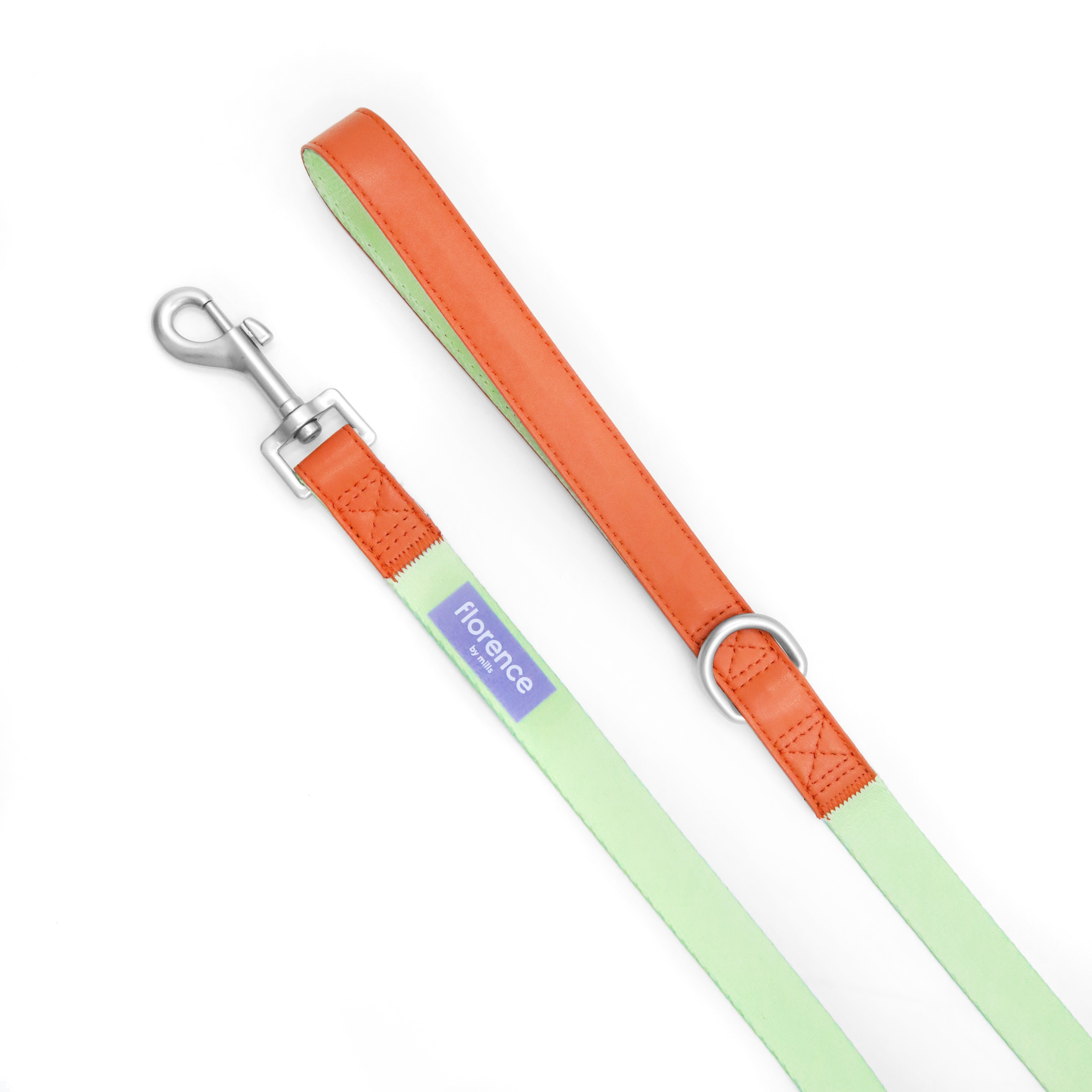 Florence Leash