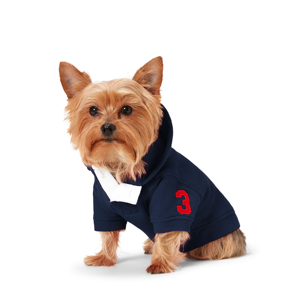 Ralph Lauren Heritage Pony Hoodie