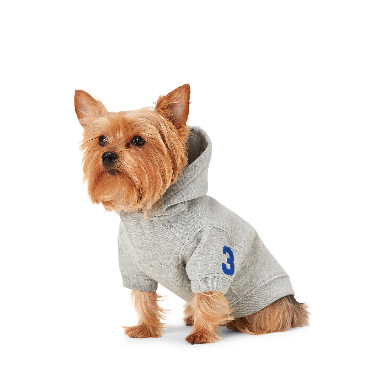 Ralph Lauren Heritage Pony Hoodie