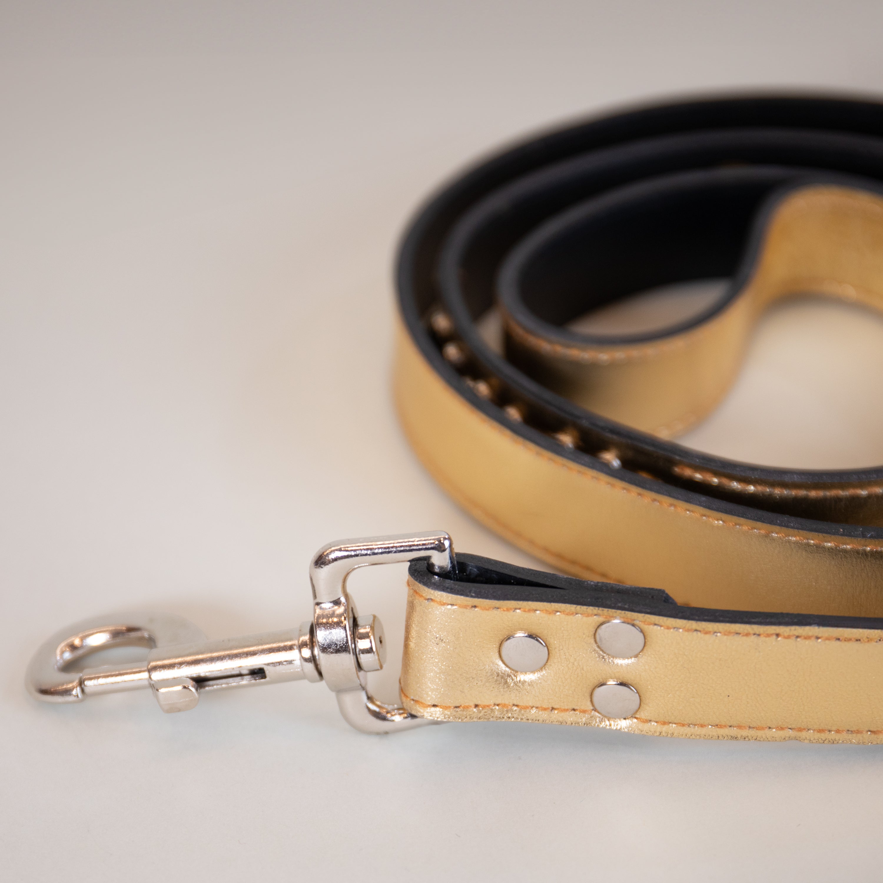 Gold leash with silver hardware