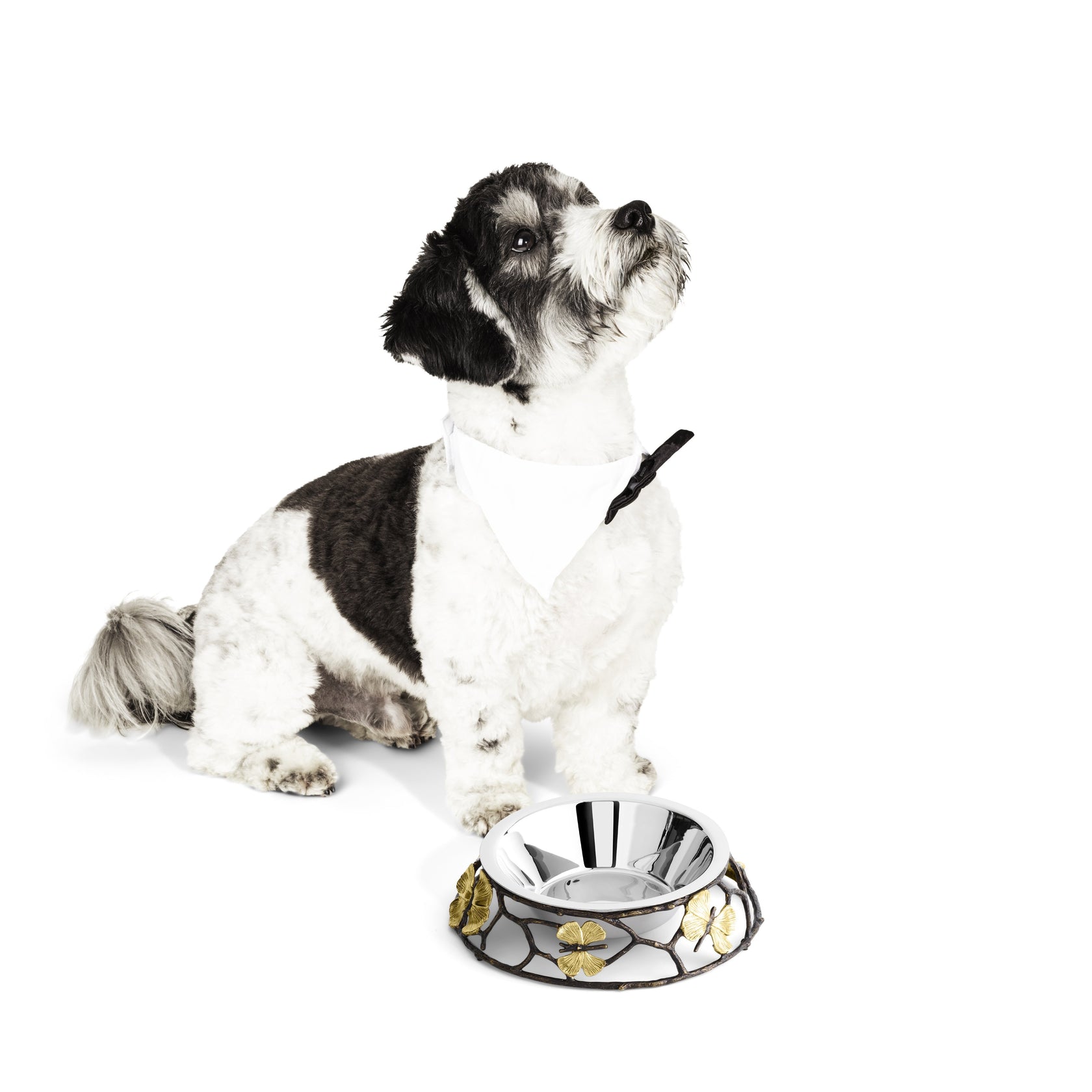 Bullion Butterfly Dog Bowl