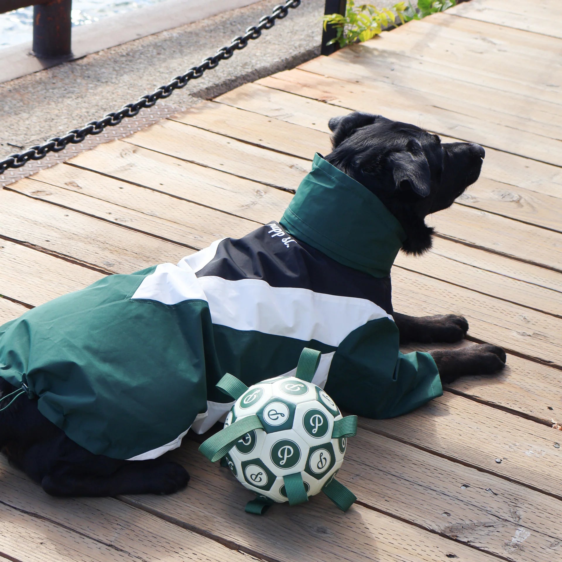 Domino Windbreaker