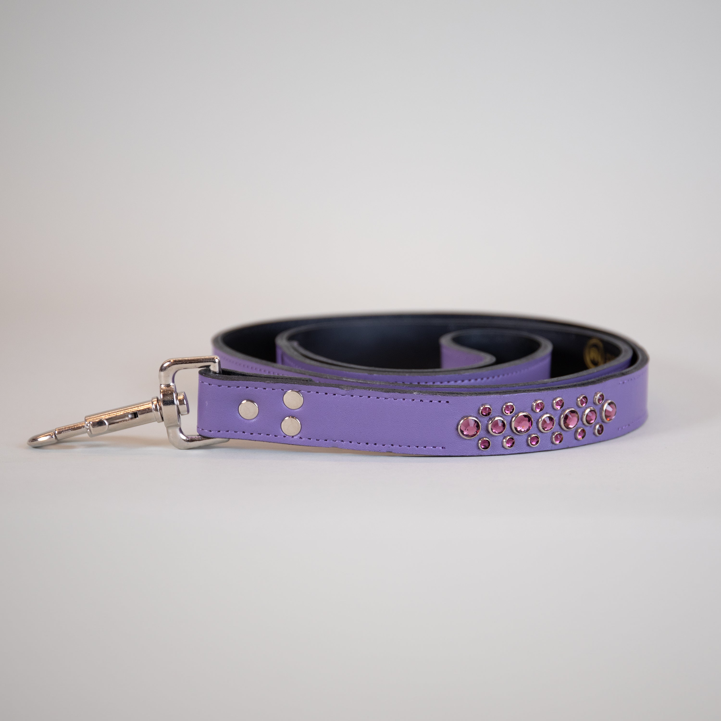 Purple Aladdin leash