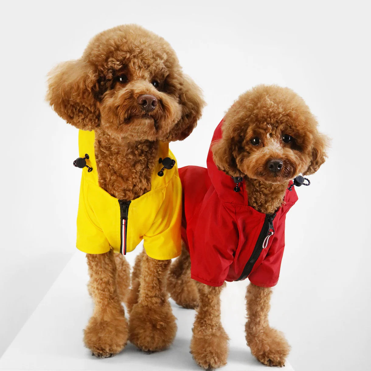 Tommy Hilfiger Raincoat