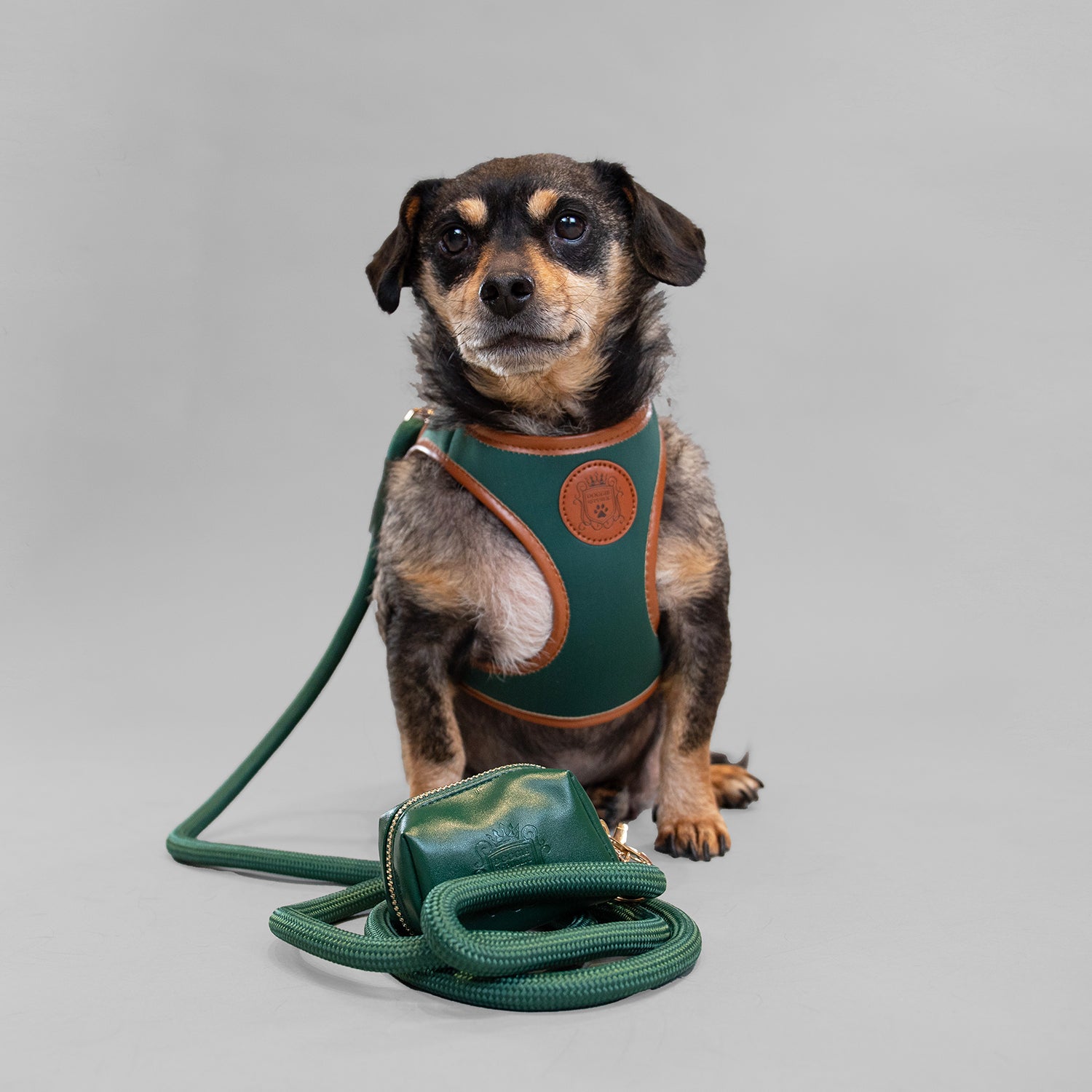 Doggie Republic Classic Harness