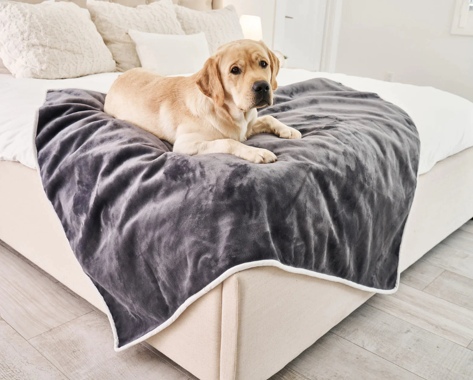 Velvet Waterproof Throw Blanket