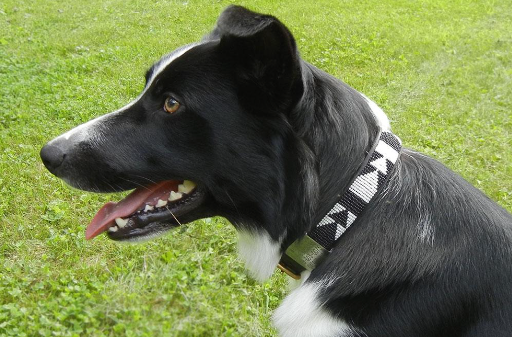 Kenyan Beaded Collars