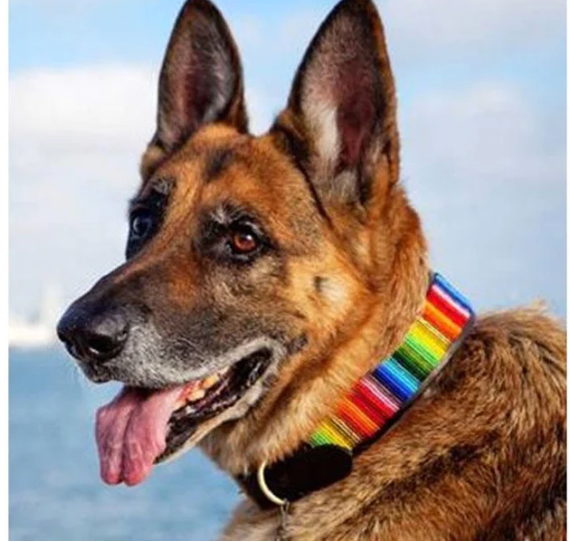 Kenyan Beaded Collars