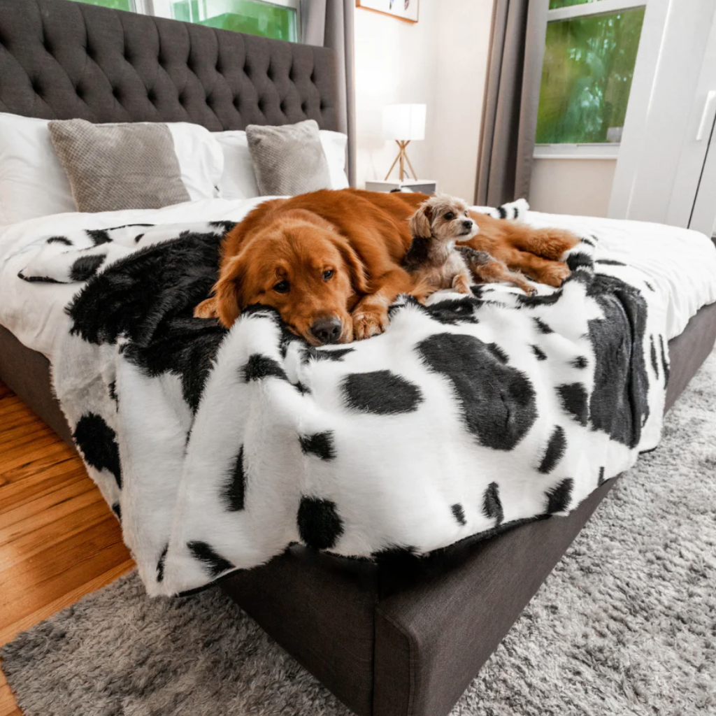 Faux Fur Waterproof Throw Blankets