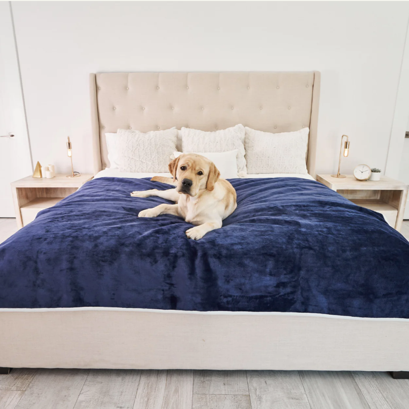 Velvet Waterproof Throw Blanket