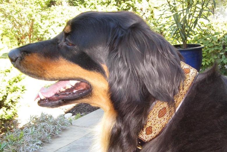 Kenyan Beaded Collars