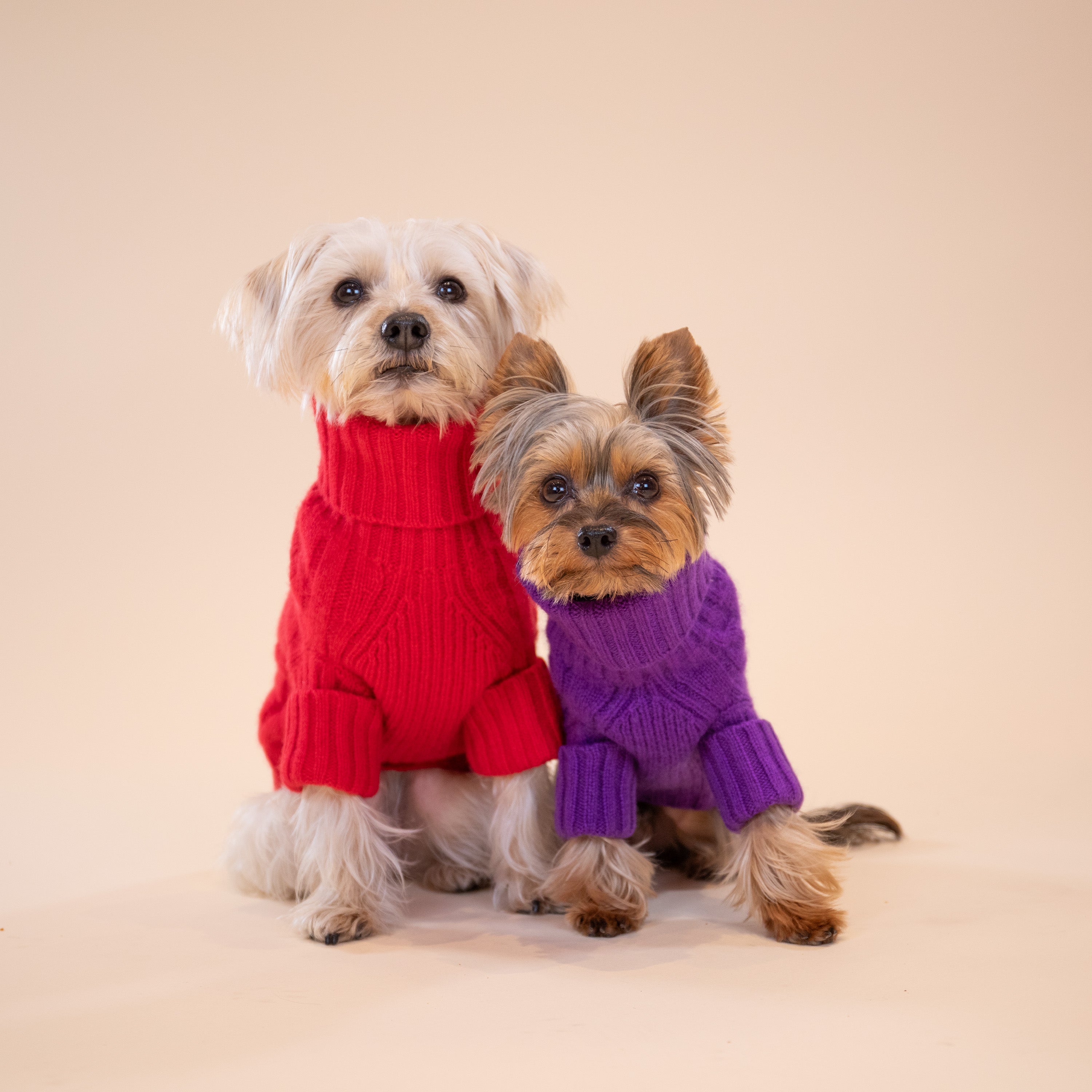 Ralph Lauren Dog Cable Cashmere Sweater