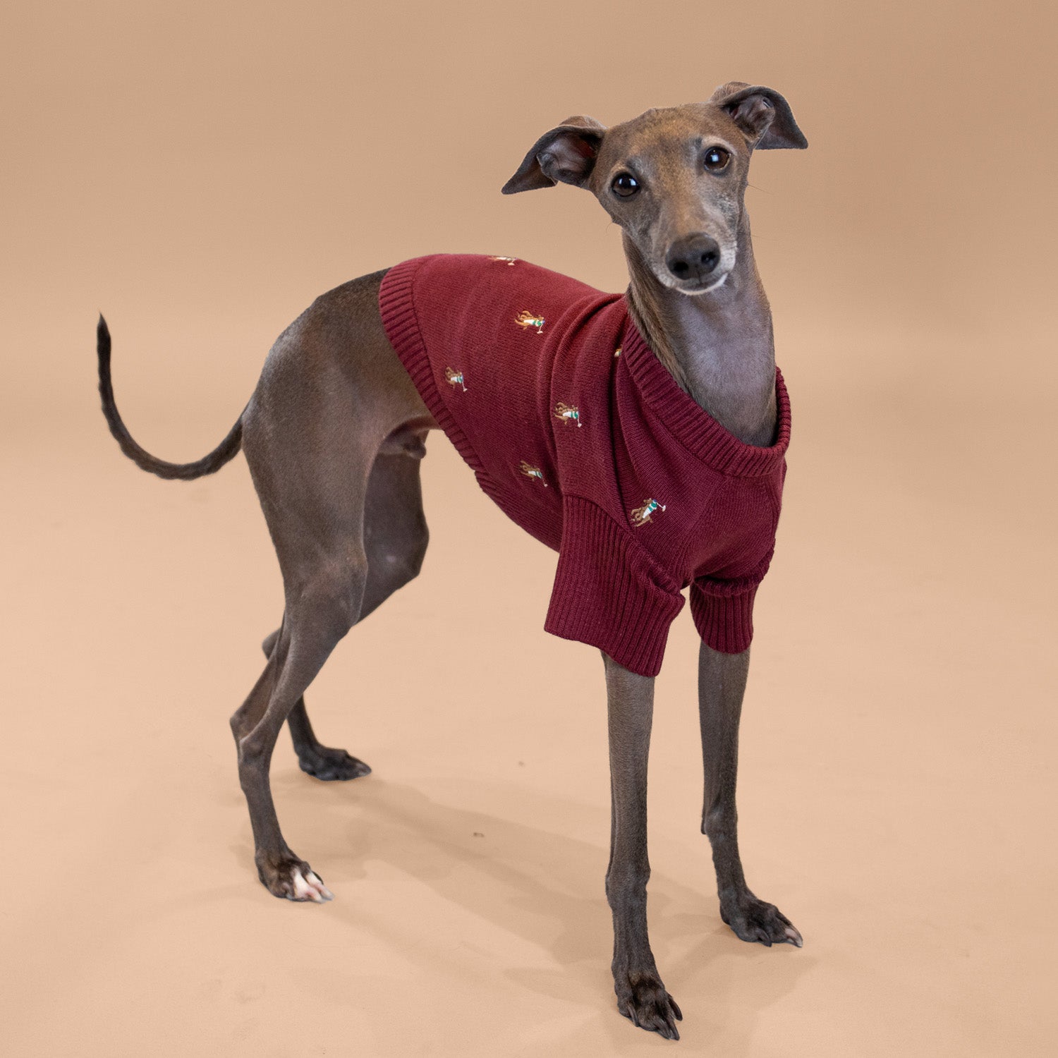 Ralph Lauren Logo Sweater