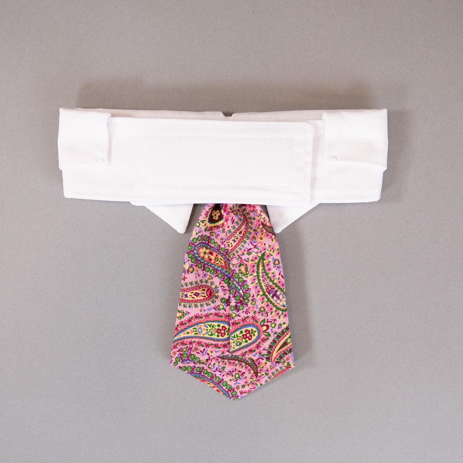 Paisley Tie