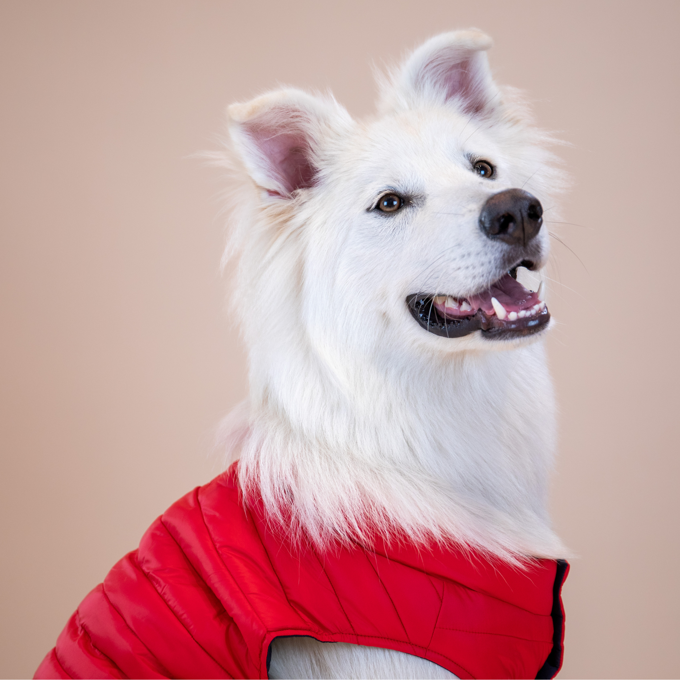 Ralph Lauren Puffer Jacket