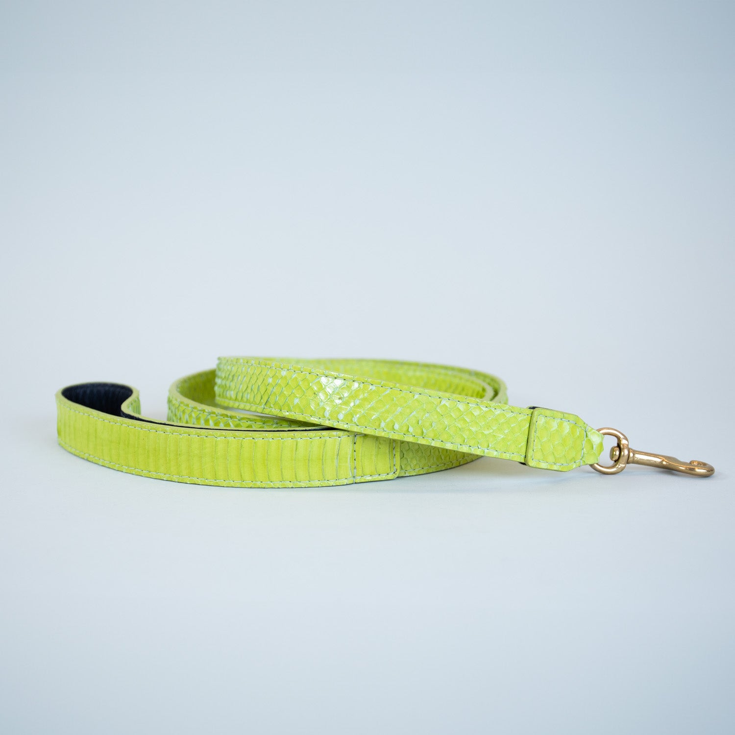 Neon Borealis Leash