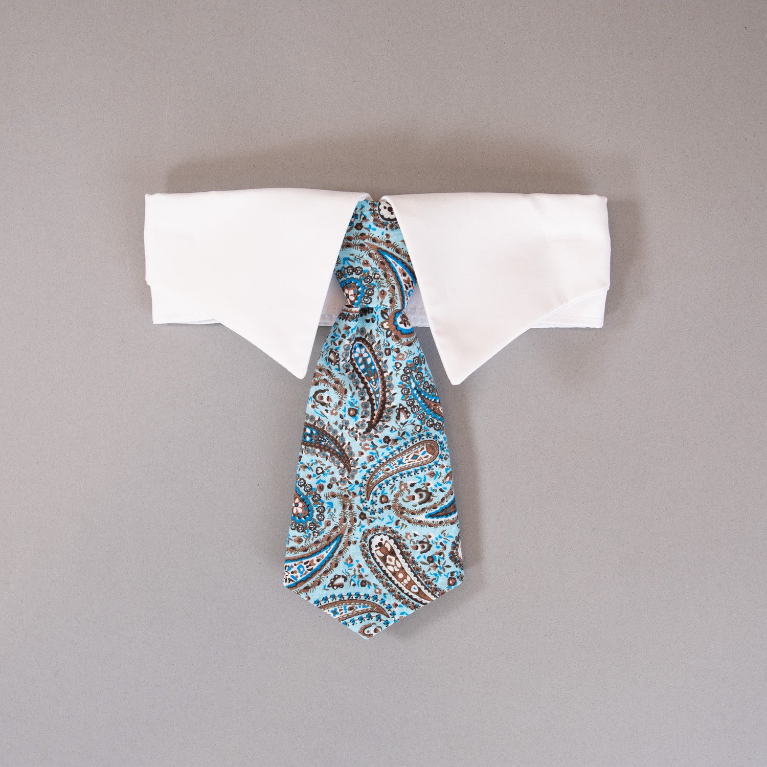 Paisley Tie