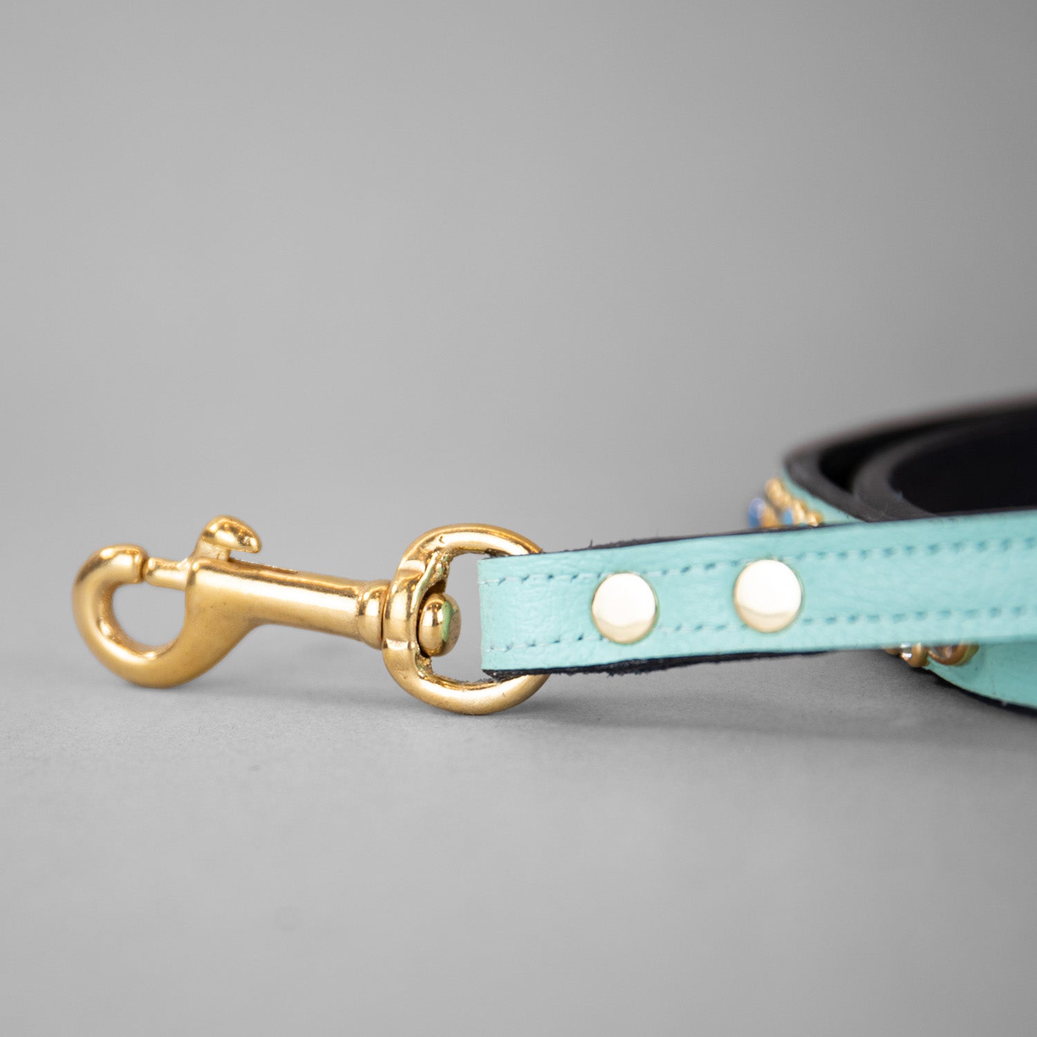 Wonders of the World Leashes
