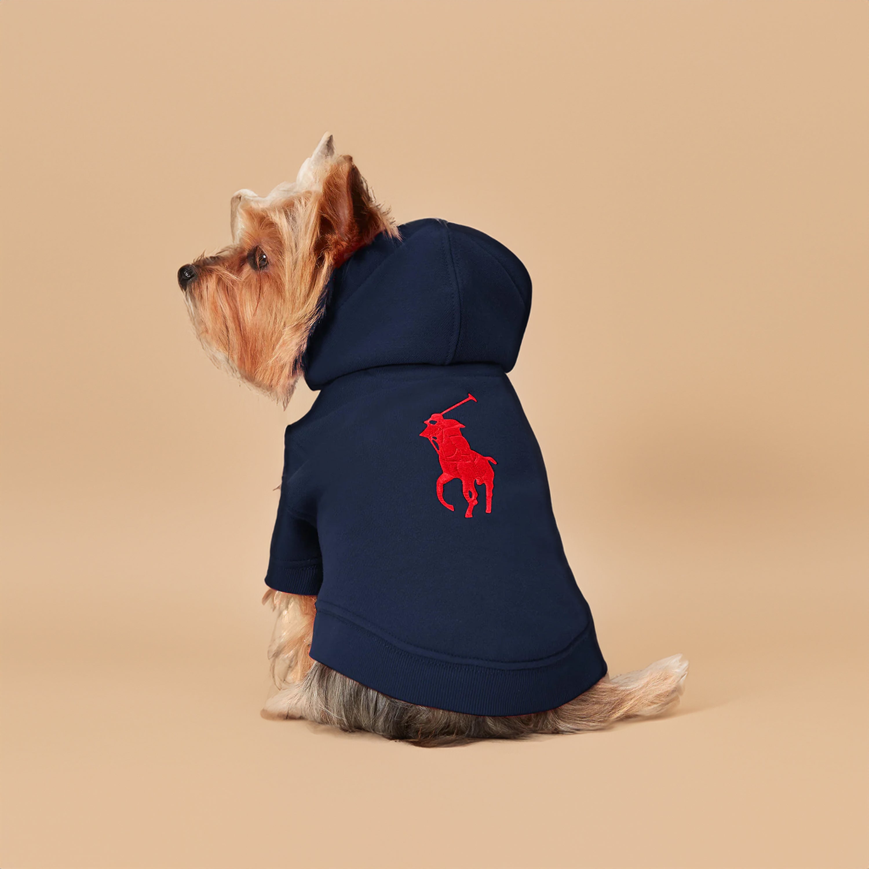 Ralph lauren dog coats best sale