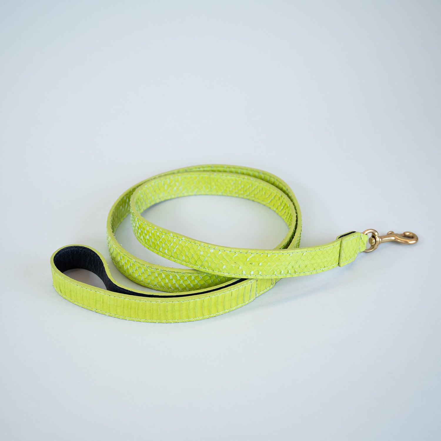 Neon Borealis Leash