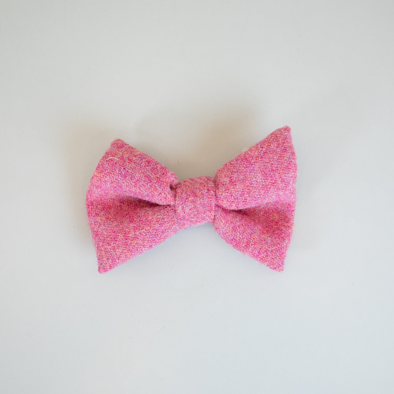 The Bardsey Bow Tie