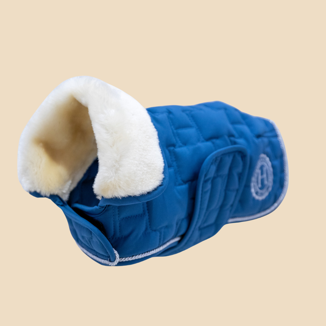 Bernie Dog Saddle Coat