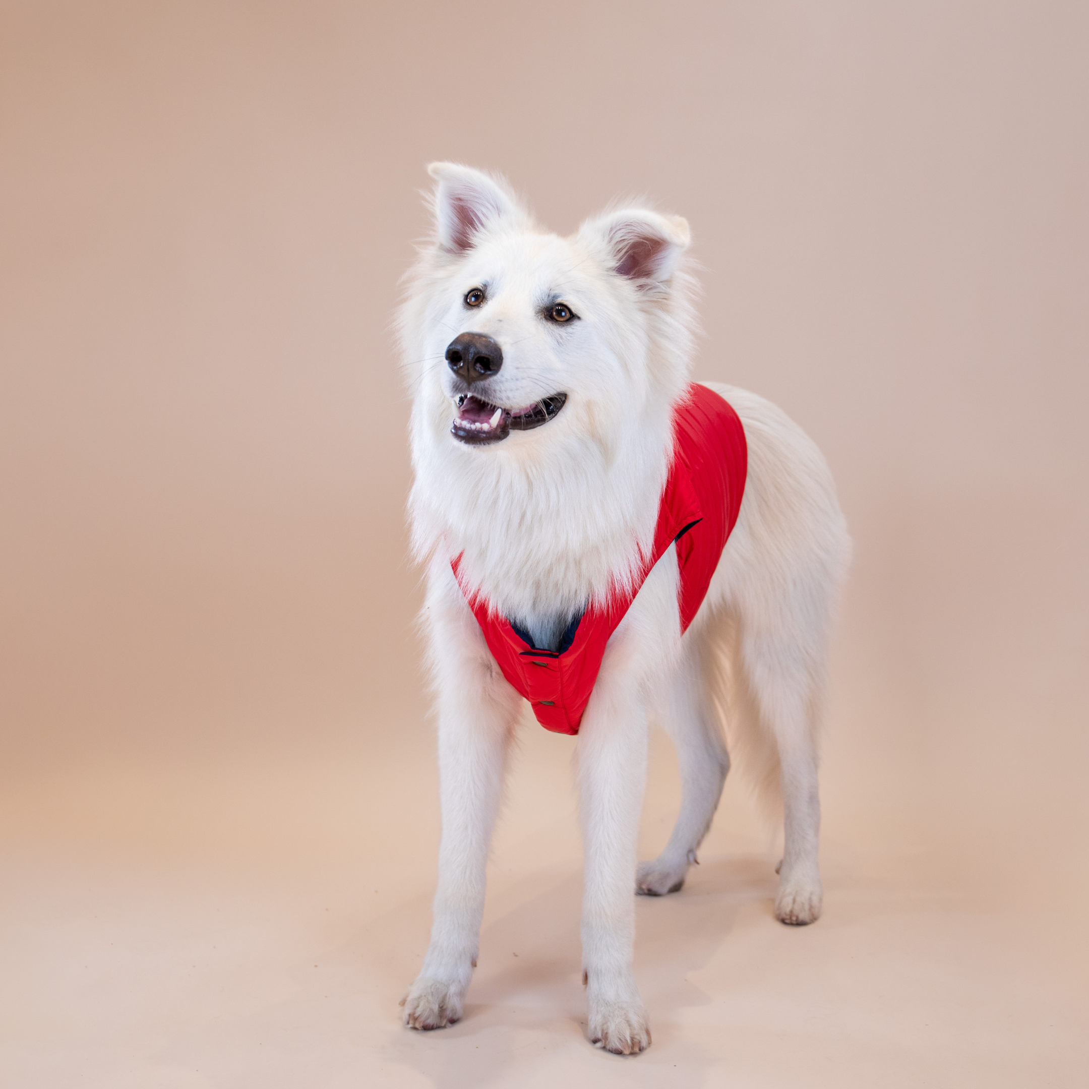 Ralph Lauren Puffer Jacket