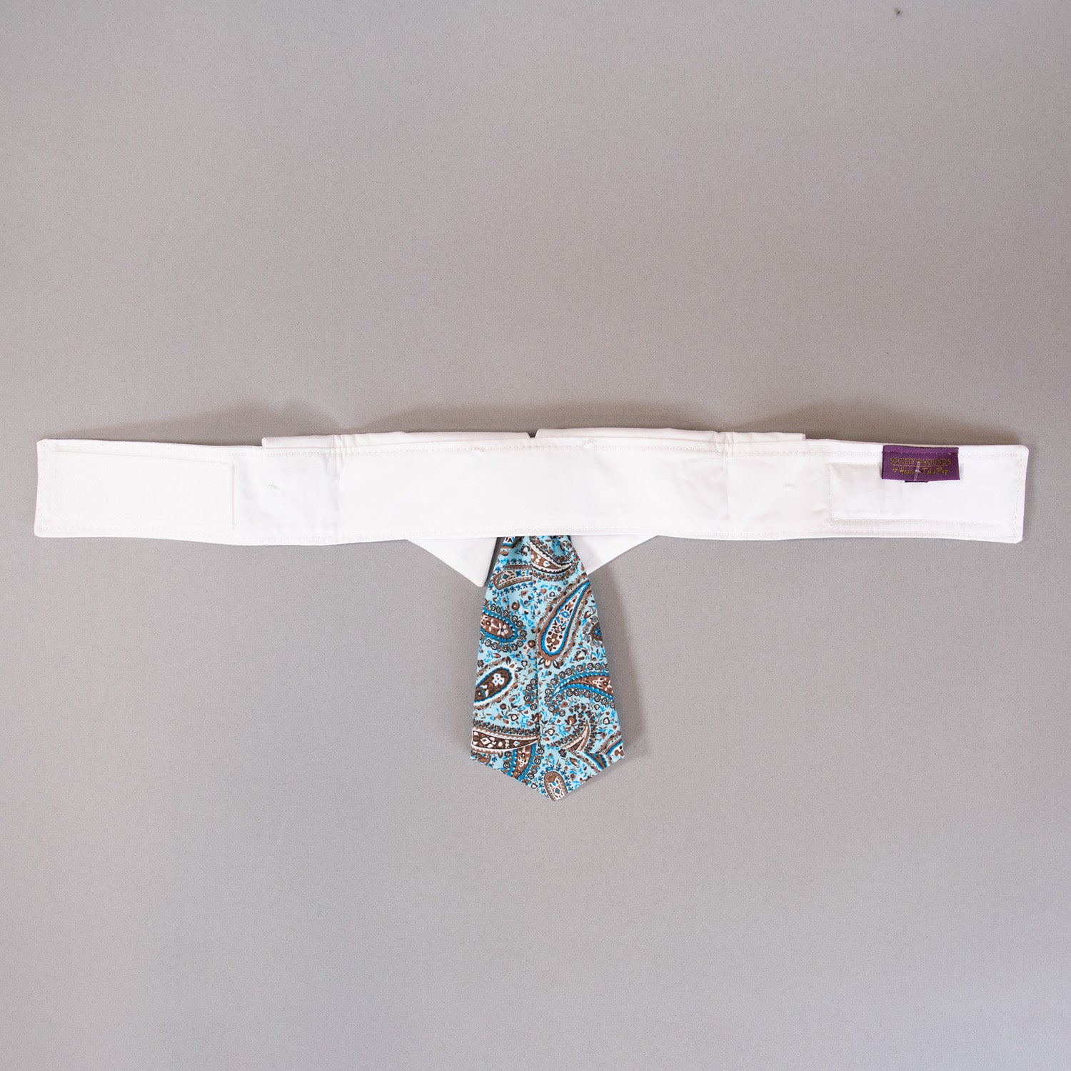 Paisley Tie