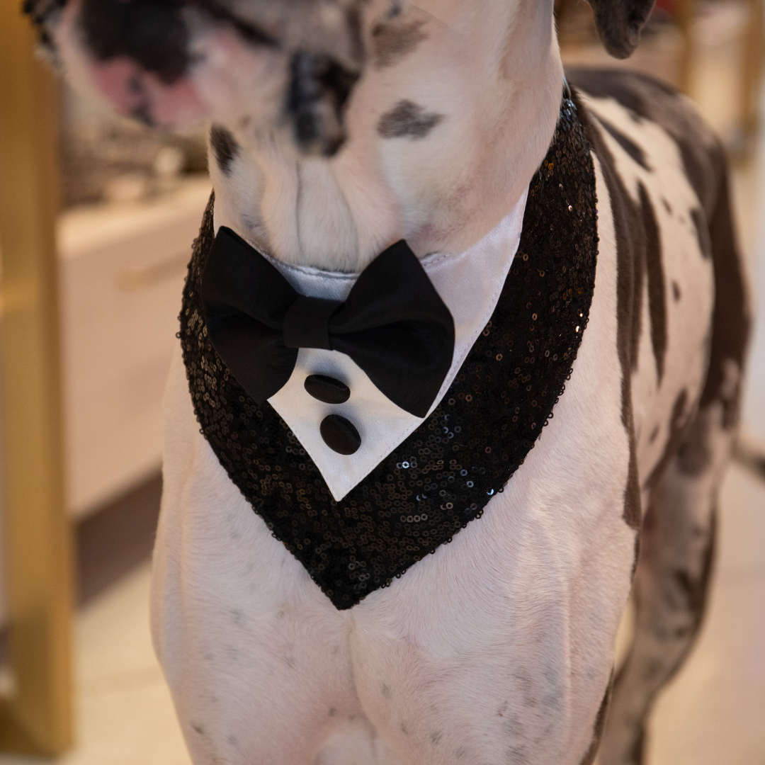 D'EGOT Tux Bandana