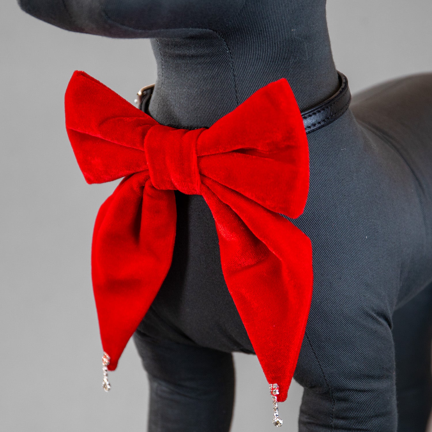 Glistening Velvet Bow