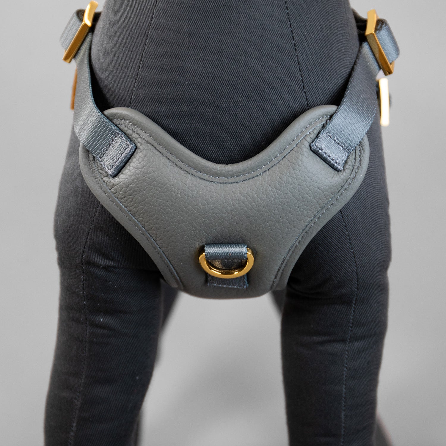 The Original Harness