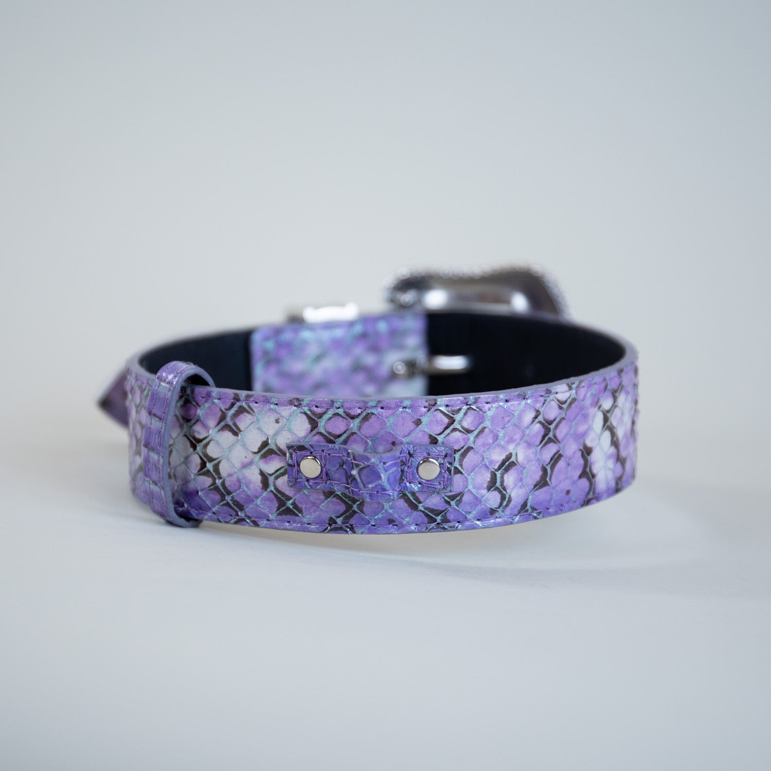 Monarch Snakeprint Collars
