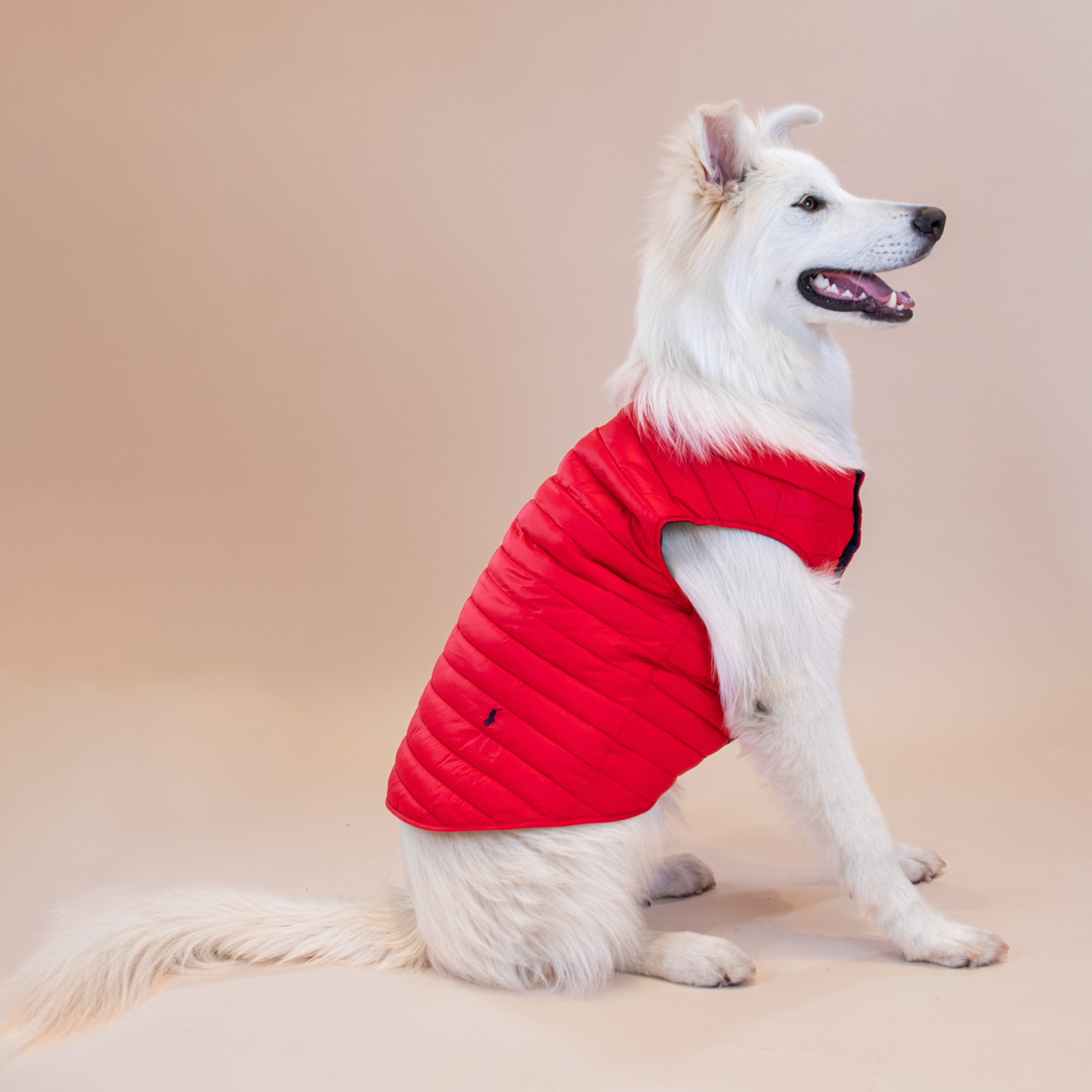 Ralph Lauren Puffer Jacket