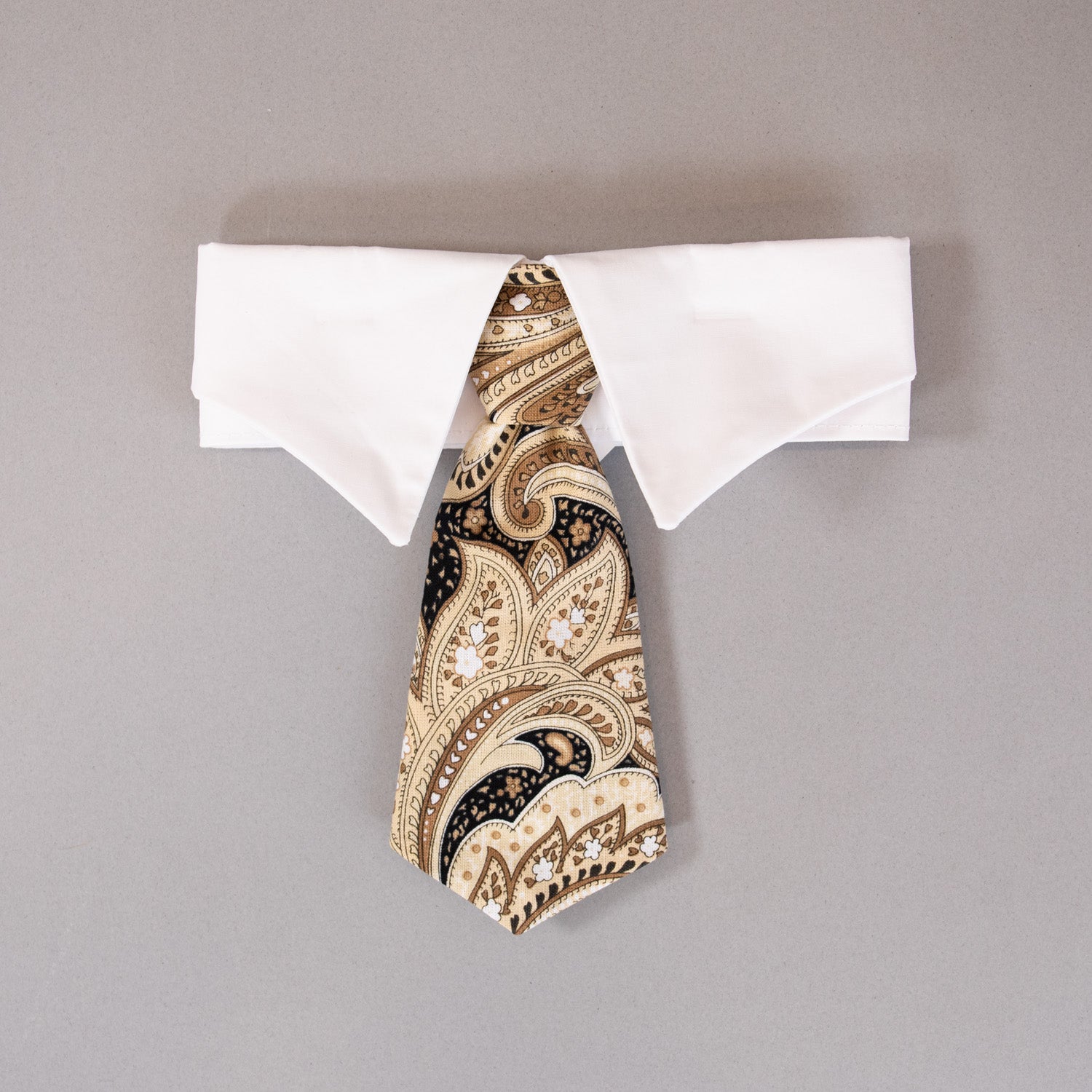 Paisley Tie